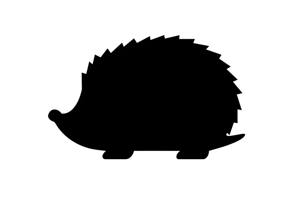 Management of iGel Thin Client Workstations