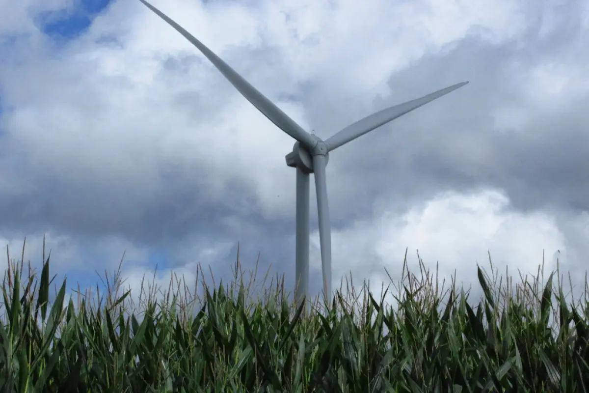 Tech giants are the biggest buyers of green energy