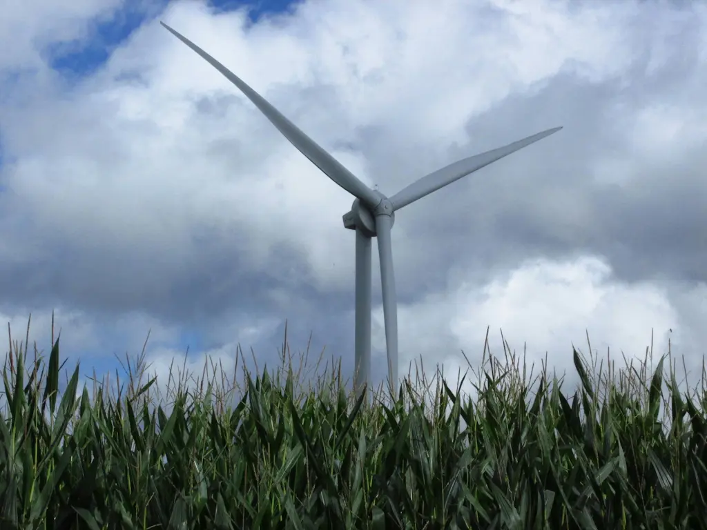 Tech giants are the biggest buyers of green energy